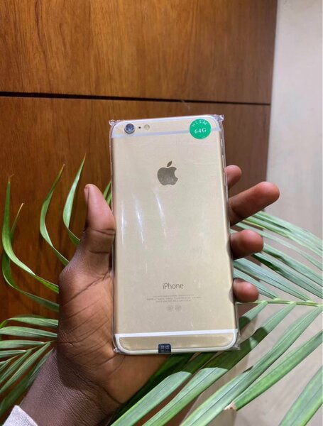 iPhone 6 Plus