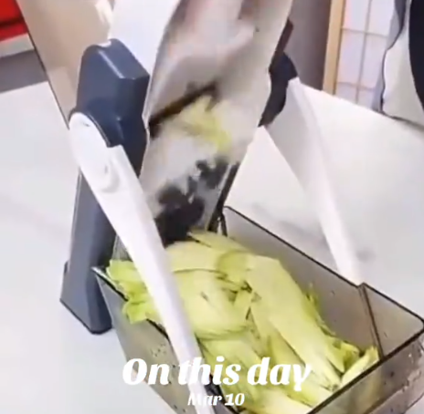 Vegetable slicer 