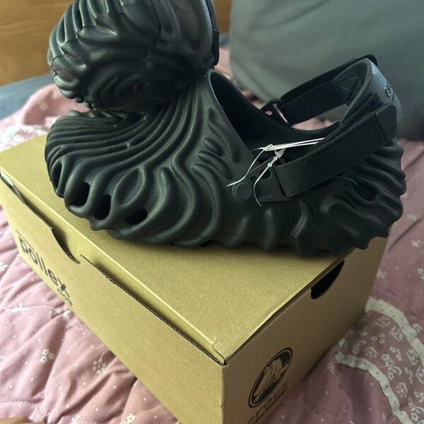Pollex Crocs