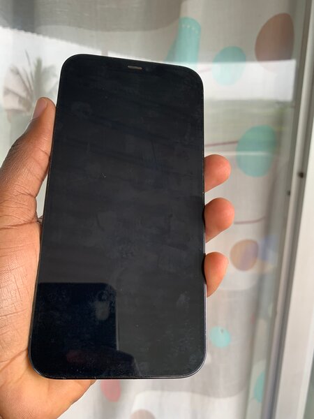iPhone 12 Pro Max 256go 2puces