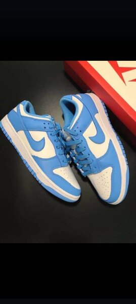 Nike sb dunk low