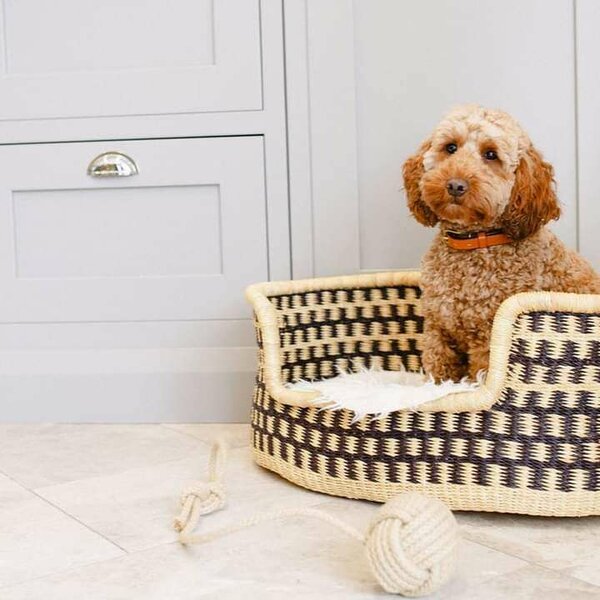 Pet beds