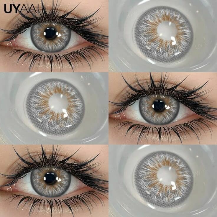 Lentilles