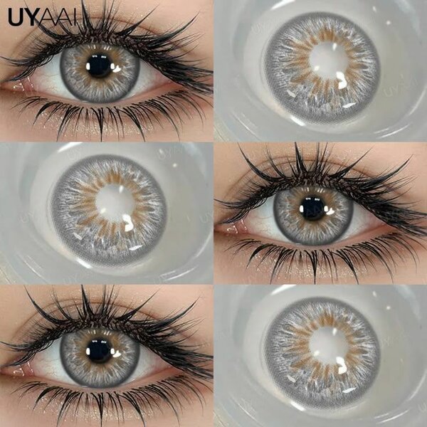Lentilles