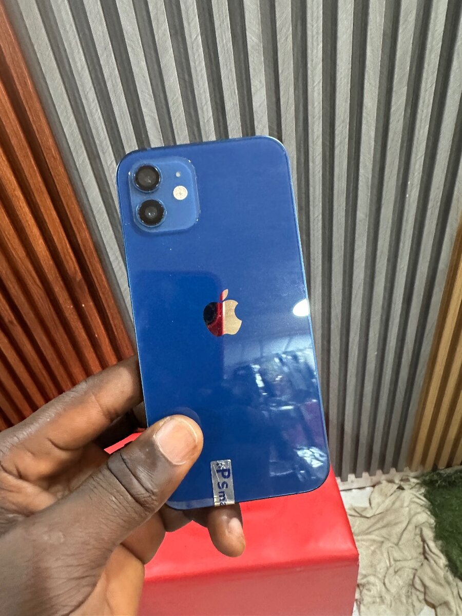 iPhone 12 Bleu et Vert