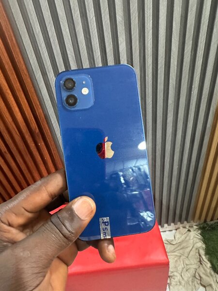 iPhone 12 Bleu et Vert