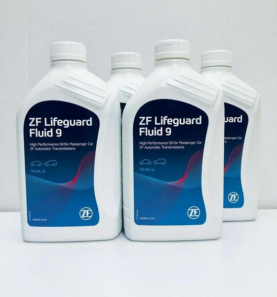 ZF lifeguard 8/9
