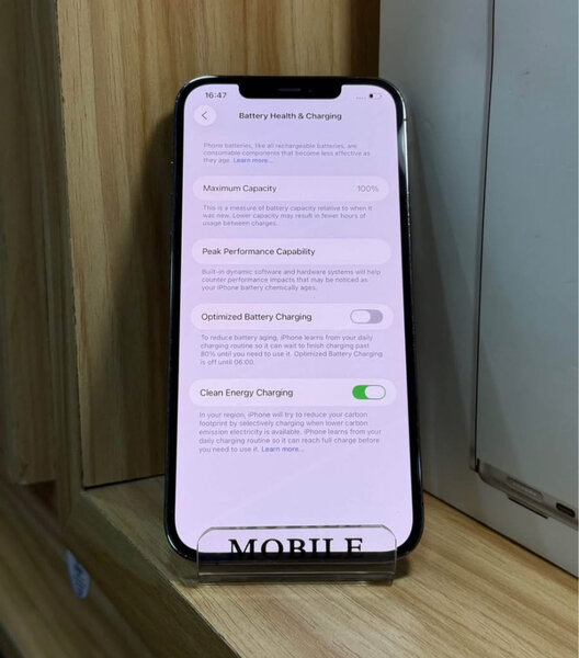 iPhone 13 Pro Max Argent