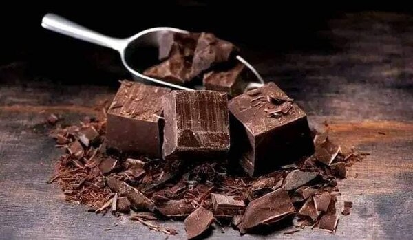 CHOCOLAT BIO EN POUDRE