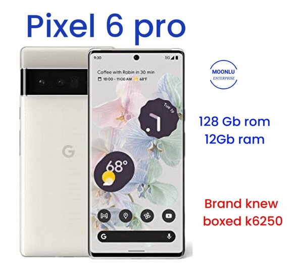 Pixel 6 pro