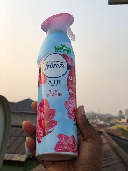 Air freshener