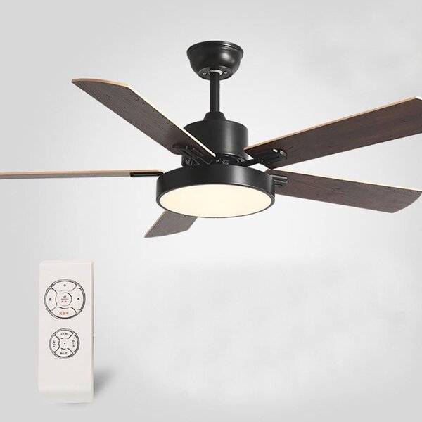 Ceiling Fan