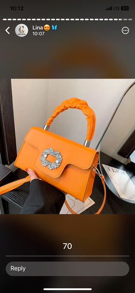 Ladies bags