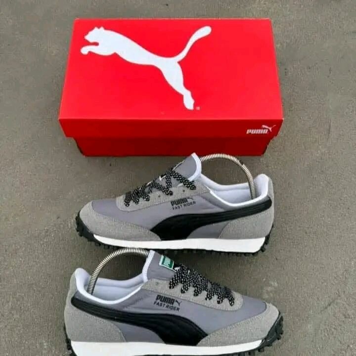 Chaussure puma