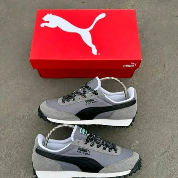 Chaussure puma