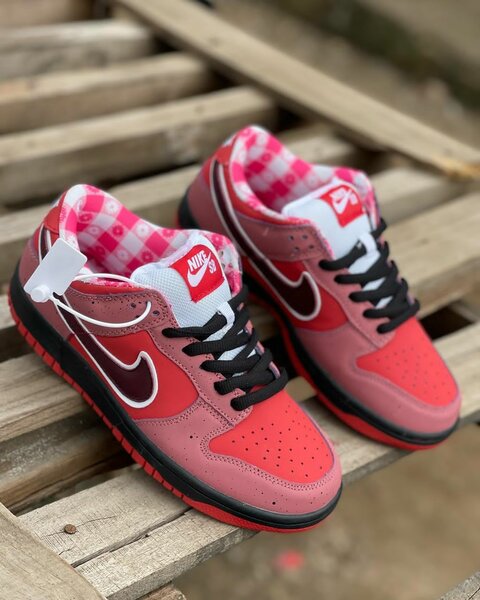Nike dunks