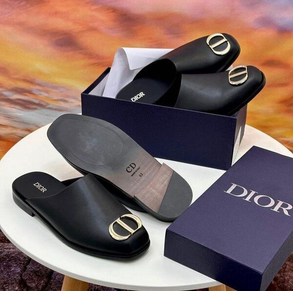 Dior slides