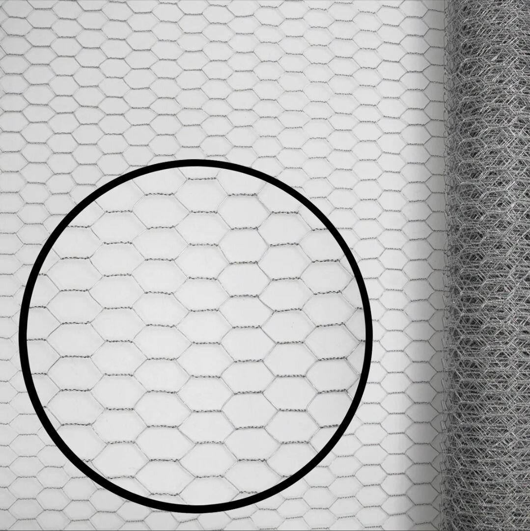 Durable Chicken Wire Mesh