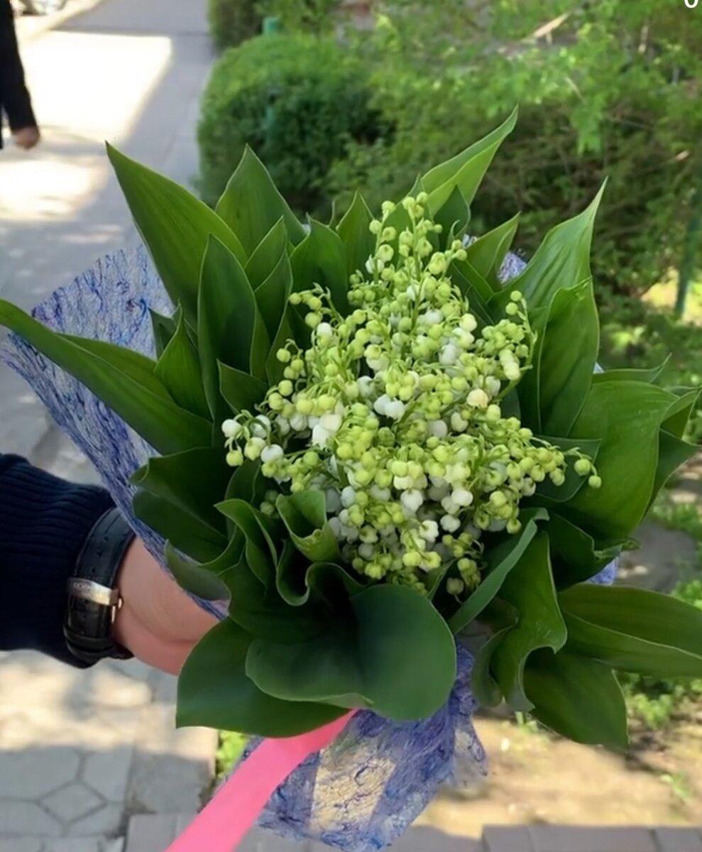 Ландыш