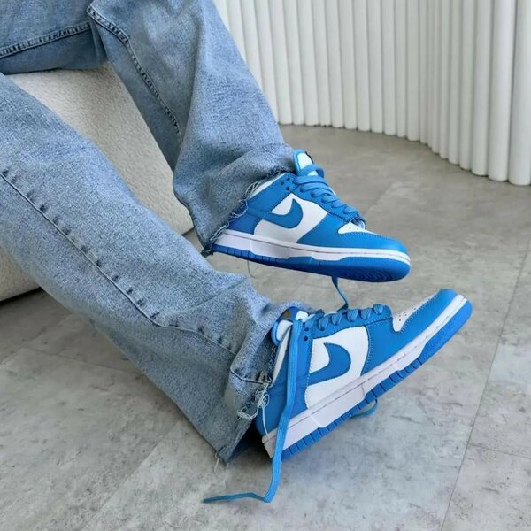 Nike dunk SB low.