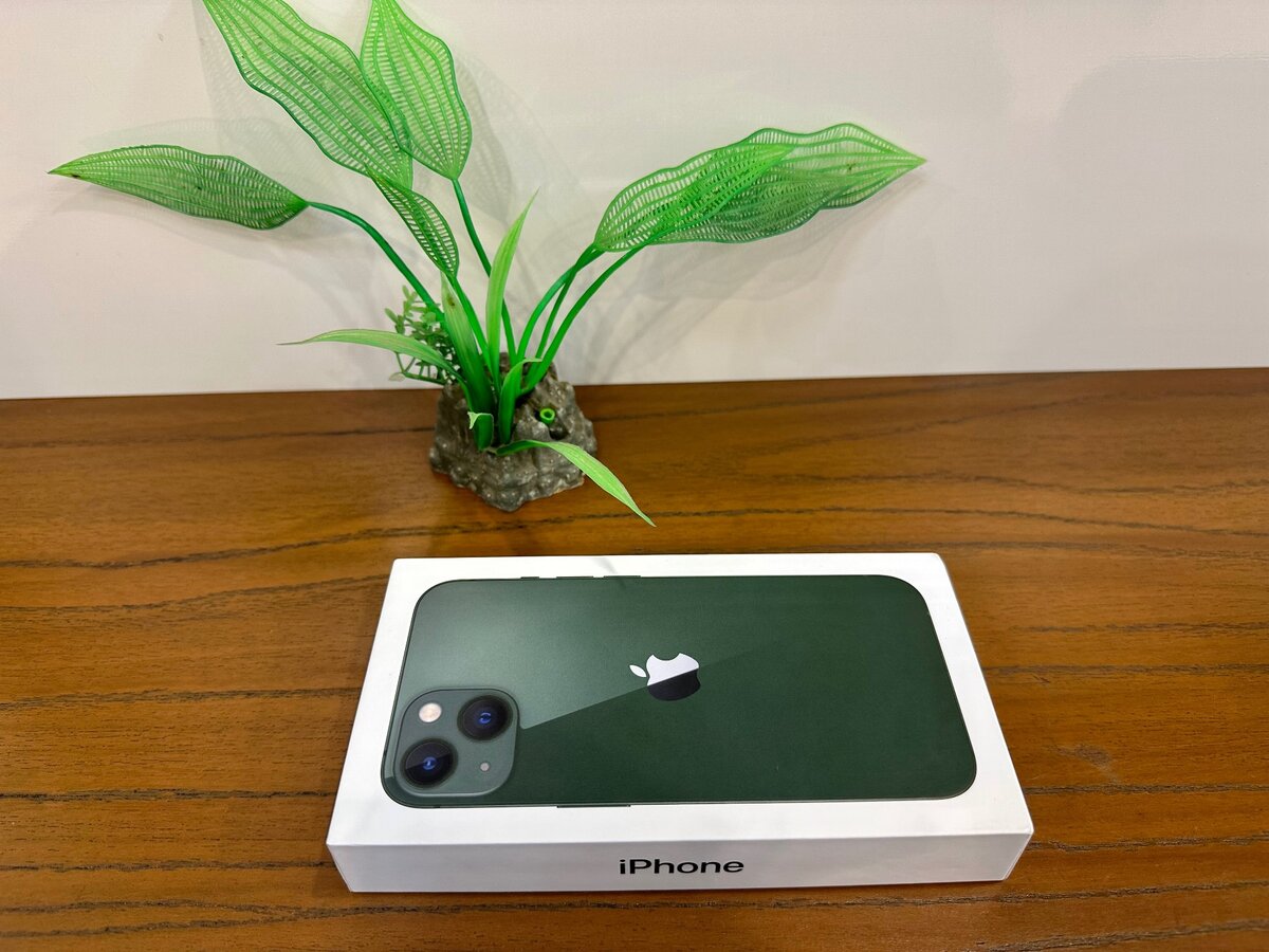 iPhone 13