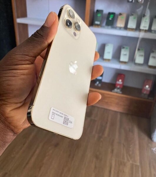 iPhone 12 Pro Max