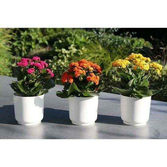 Pot de fleur artificiel,  1 a 5000 et 3 a 12000