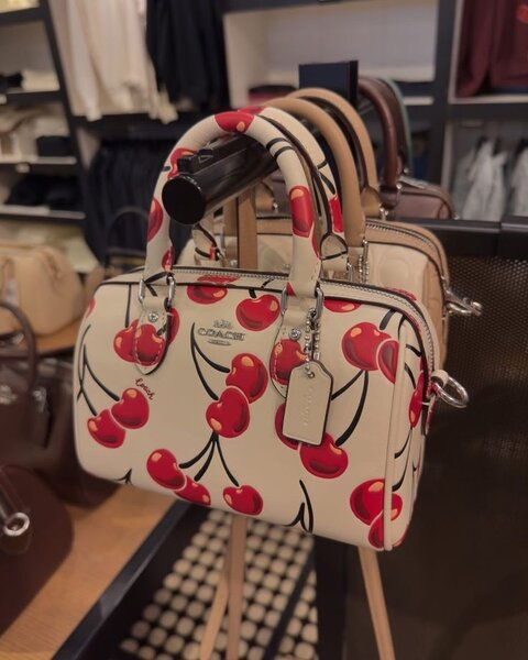 Ladies bag