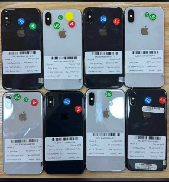 iPhone X