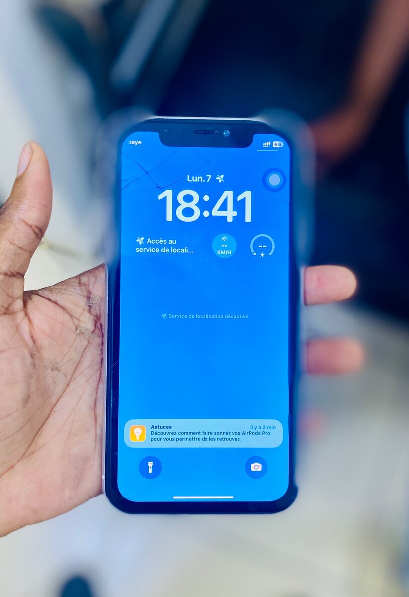 iPhone XR / 2 puces