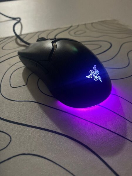 RAZER VIPER MINI