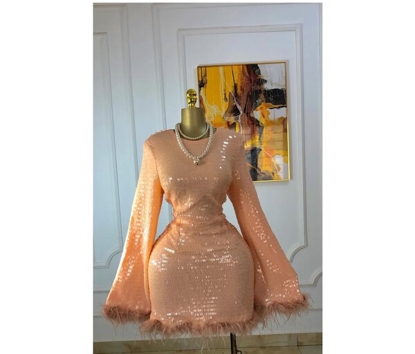 Ladies dress
