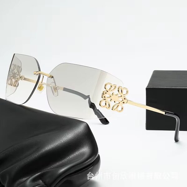 Lunettes de soleil élégantes