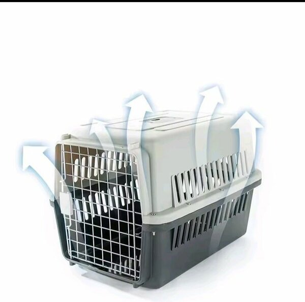 Transporteur pour animaux sécurisé