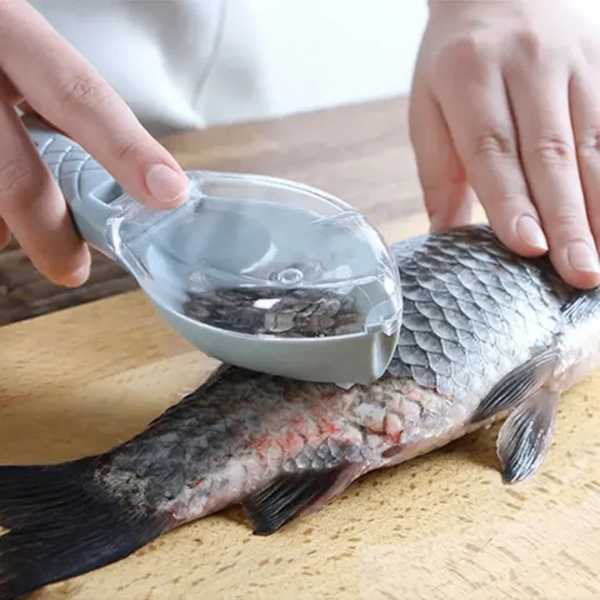 Fish scraper