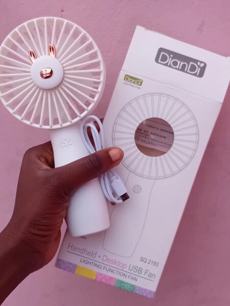 Mini Fan