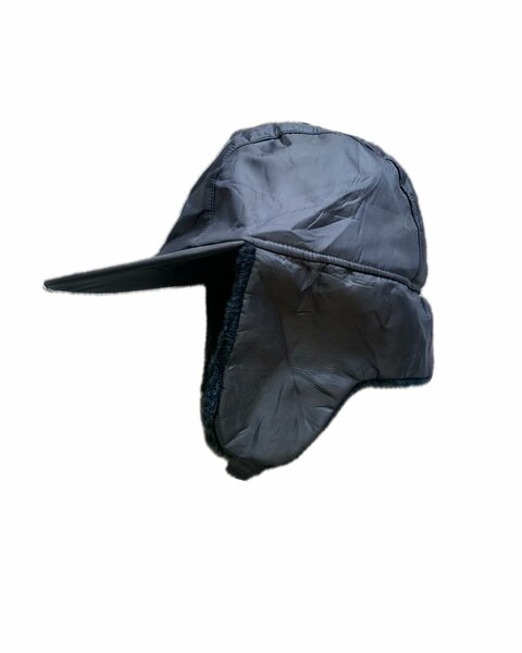 Blue ushanka