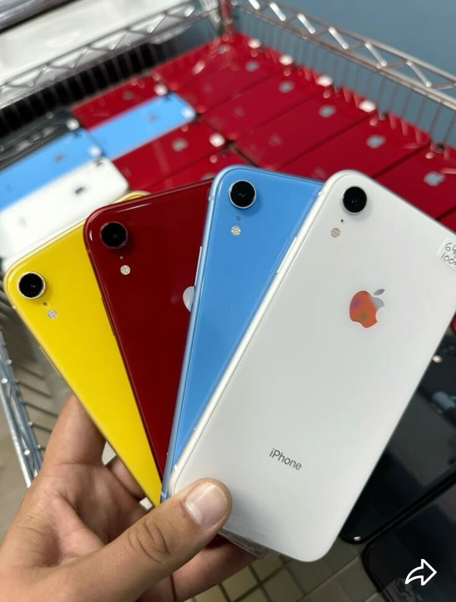 iPhone XR Multicolore