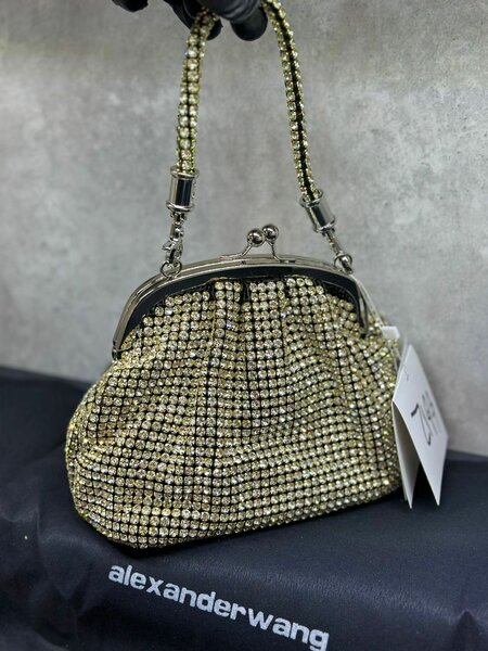 Alexander wang