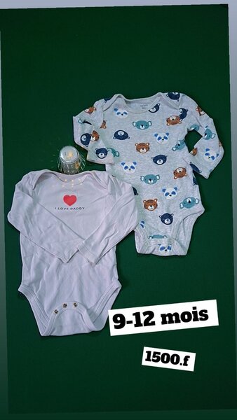 Lot de deux bodies bébé 9-12 mois