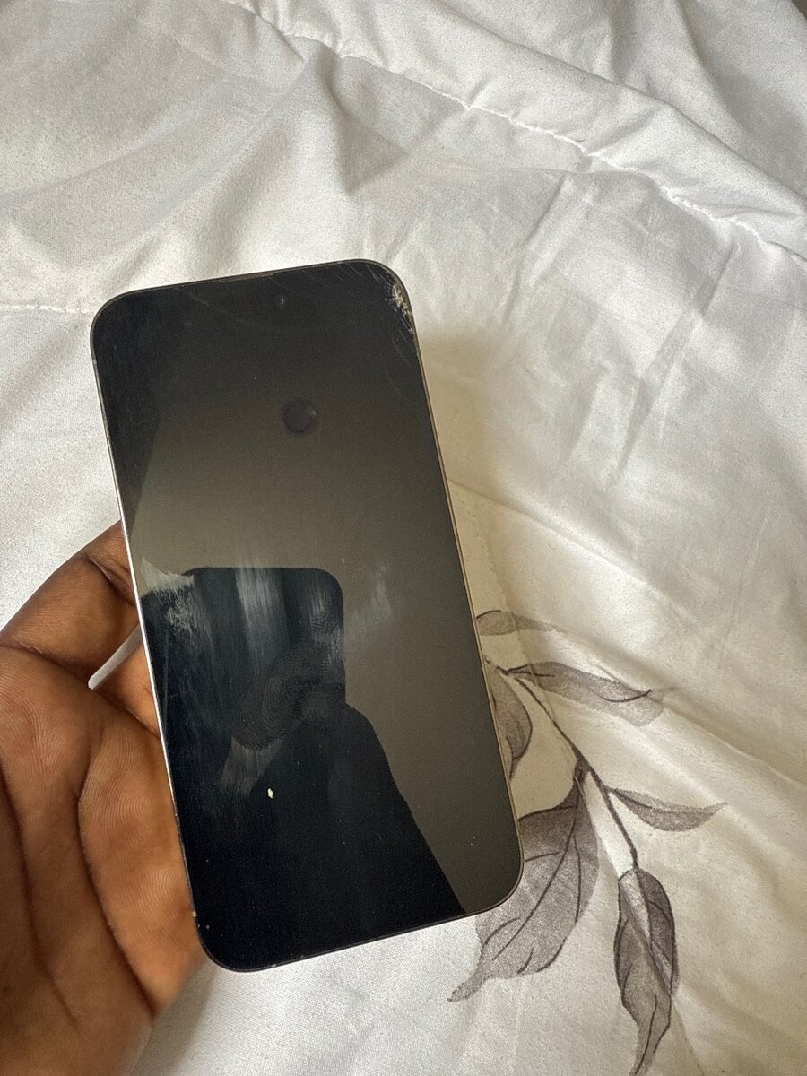 iPhone 14 Pro Max