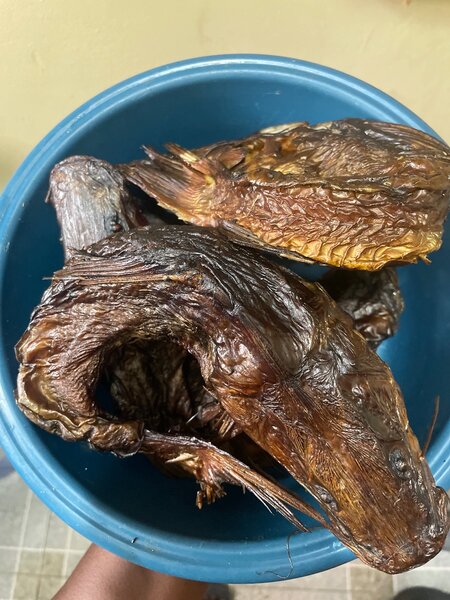Oheneba