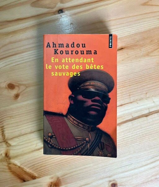 Romans Africains Inspirants
