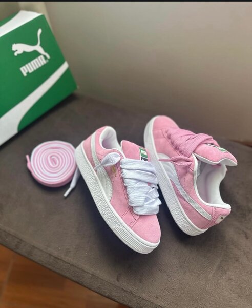 Puma puma