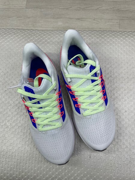Nike pegasus 39