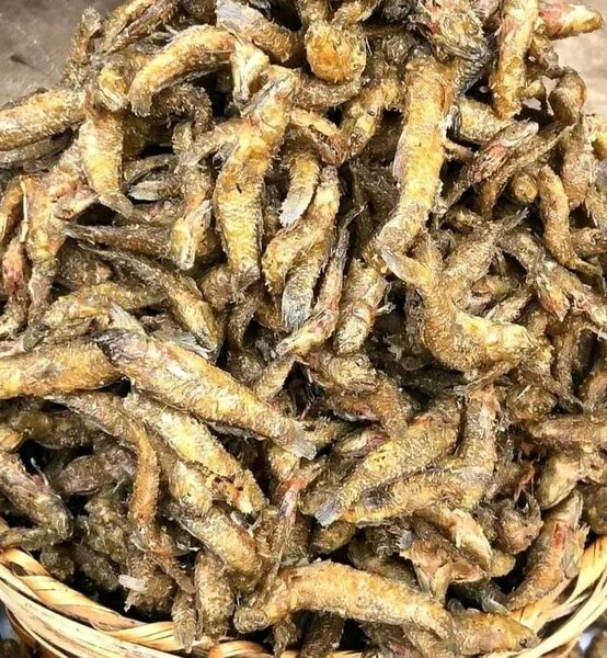 Seafoods