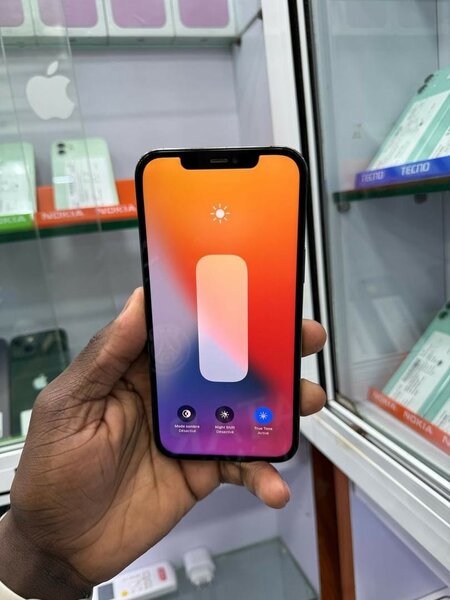 iPhone 12 Pro Max