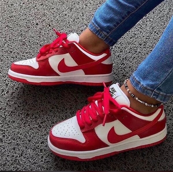 Nike SB sneakers