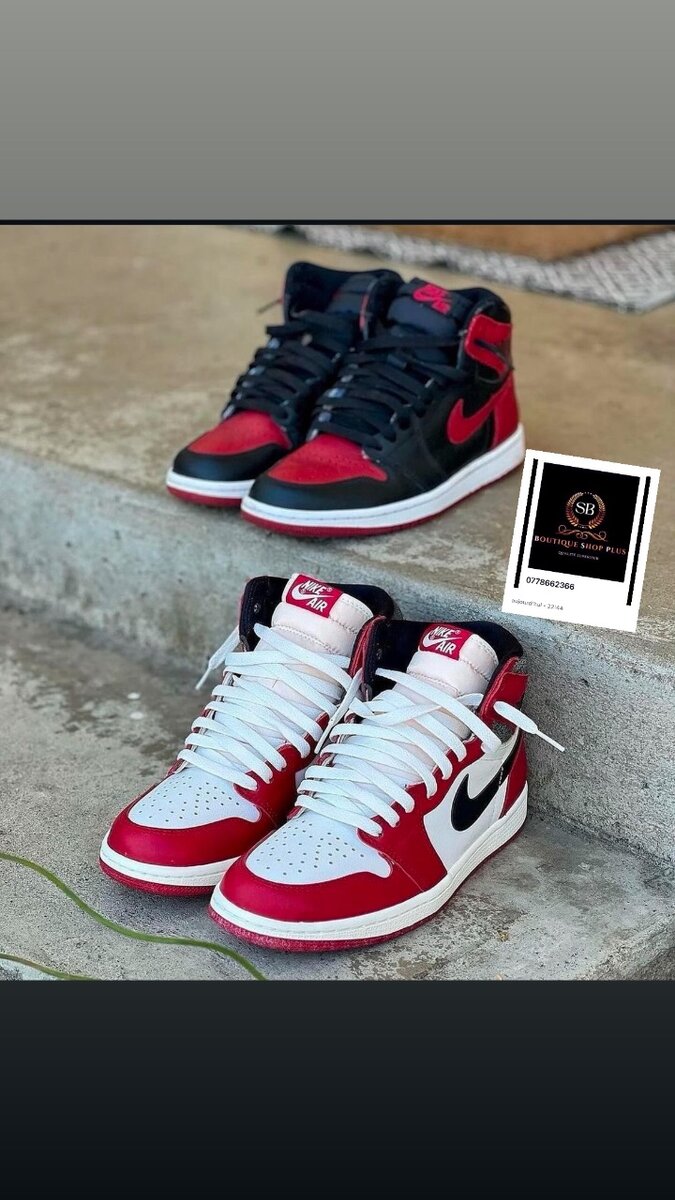 Basket Nike sb Authentique avec sa boîte