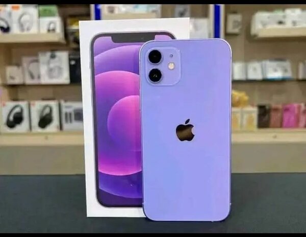 iPhone 12  pro max